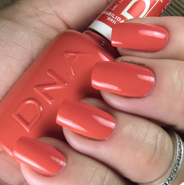 Look Hibrido - DNA Italy2