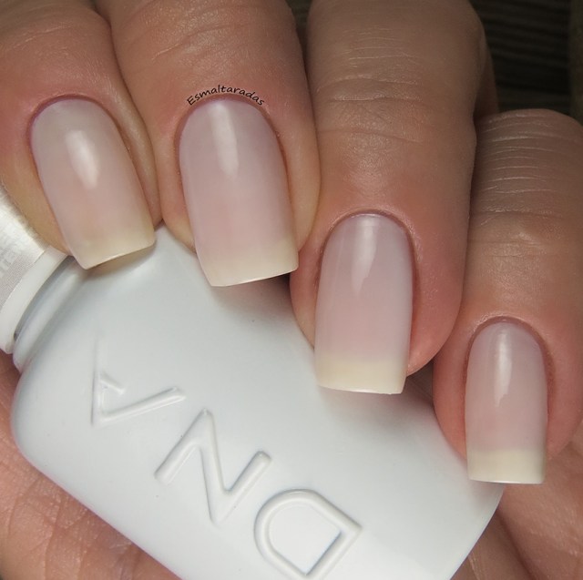 Milk Hibrido - DNA Italy