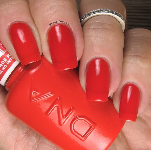 Red Hibrido - DNA Italy