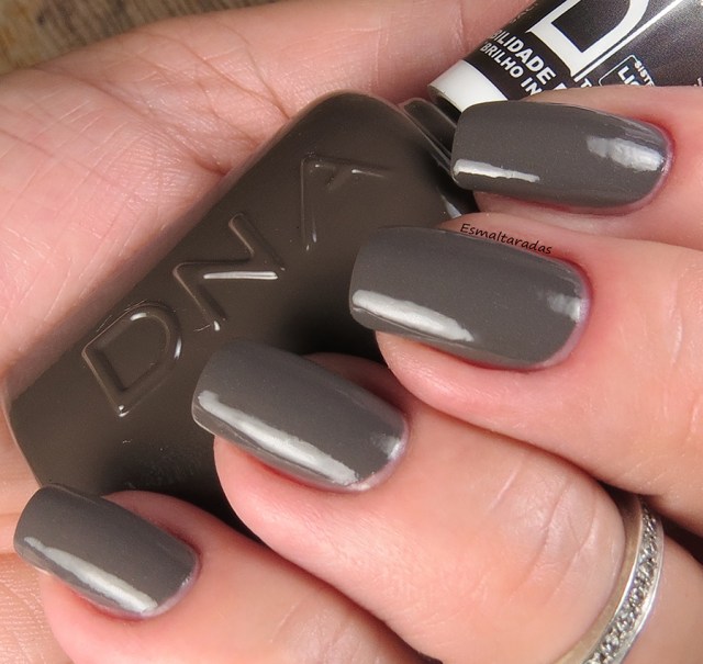 Stone Hibrido - DNA Italy3