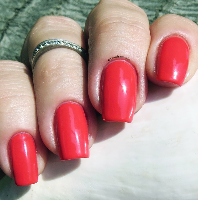 Tilt-a-Whirl - Misa2